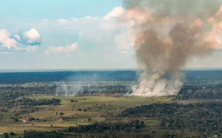 Coluna de fumaça sobe de uma área de floresta no Acre, em registro de 13 de outubro de 2026.
