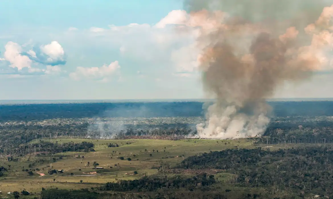Coluna de fumaça sobe de uma área de floresta no Acre, em registro de 13 de outubro de 2026.